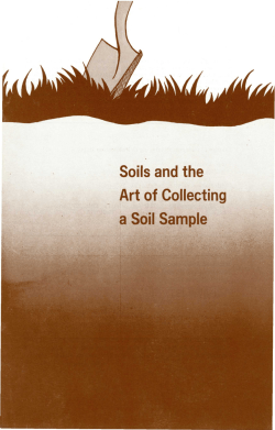 Soils and the Art of Collecting a Soil Sample