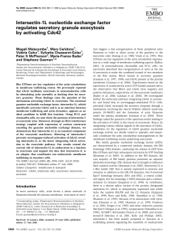 Intersectin1L nucleotide exchange factor regulates secretory