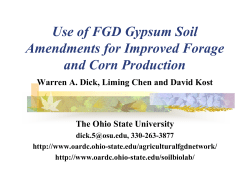 Use of FGD Gypsum Soil Amendments for Improved Forage and