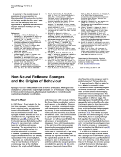 Non-Neural Reflexes: Sponges and the Origins