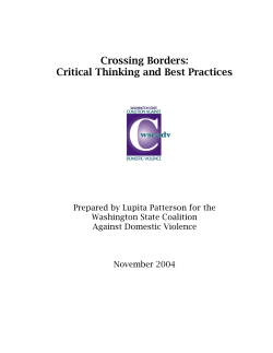 Crossing Borders: Critical Thinking and Best Practices