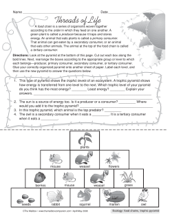 Threads of Life - cloudfront.net
