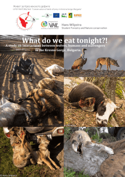 (Canis lupus) in the Kresna gorge, Bulgaria. A study on interactions