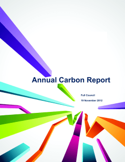Second Annual Carbon Report