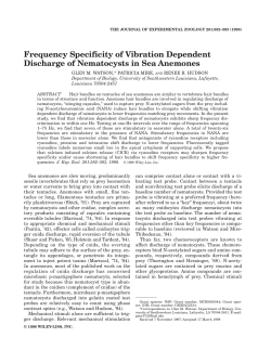 Frequency specificity of vibration dependent