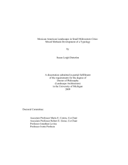 Mexican-American Landscapes in Small Midwestern Cities: Mixed