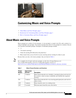 Customizing Music and Voice Prompts
