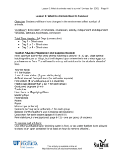 Lesson 6 - University of Florida
