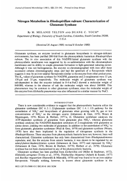 Nitrogen Metabolism in Rhodospirillum rubrum