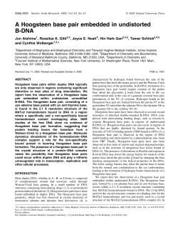 A Hoogsteen base pair embedded in undistorted B-DNA