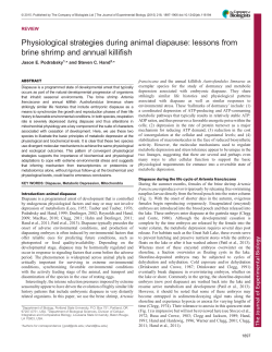 Physiological strategies during animal diapause: lessons from brine