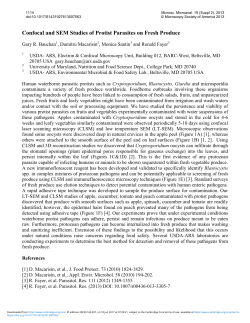 Confocal and SEM Studies of Protist Parasites on Fresh Produce