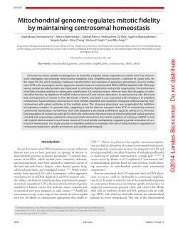 Mitochondrial genome regulates mitotic fidelity by maintaining
