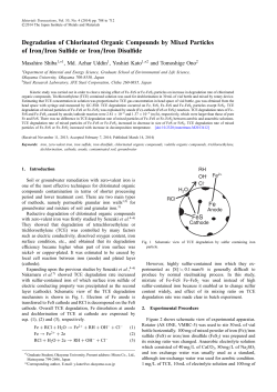 Degradation of Chlorinated Organic Compounds by Mixed Particles