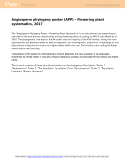 Angiosperm Phylogeny Poster &ndash; Flowering Plant Systematics