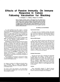 Effects of Passive Immunity On Immune Response In Calves