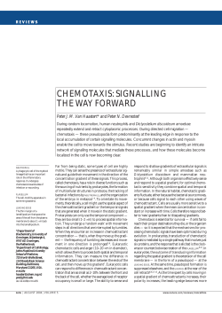 CHEMOTAXIS: SIGNALLING THE WAY FORWARD