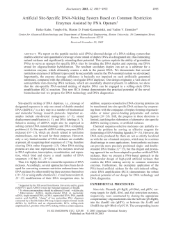 Artificial Site-Specific DNA-Nicking System Based on Common