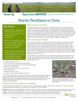 Starter Fertilizers in Corn