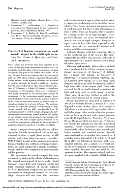 The effect of biogenic monomines on rapid axonal transport