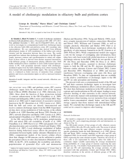 A model of cholinergic modulation in olfactory bulb and piriform cortex