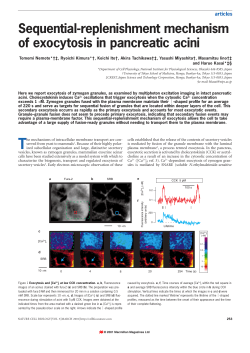 Sequential-replenishment mechanism of exocytosis in pancreatic acini