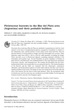 Pleistocene burrows in the Mar del Plata area