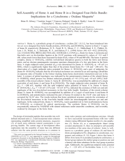 Self-Assembly of Heme A and Heme B in a Designed Four