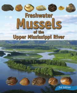 Freshwater Mussels Booklet - The Wisconsin Aquatic and Terrestrial