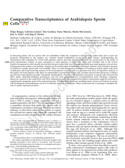 Comparative Transcriptomics of Arabidopsis Sperm Cells