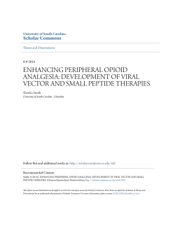 enhancing peripheral opioid analgesia: development of viral vector