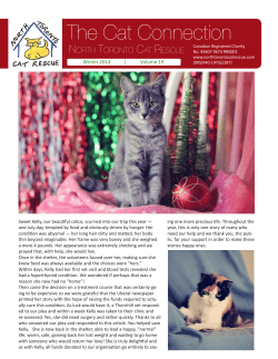 The Cat Connection - North Toronto Cat Rescue