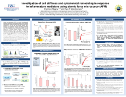 Investigation of cell stiffness and cytoskeletal remodeling in