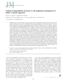 Linking metapopulation structure to elk population