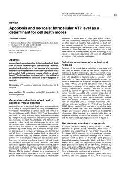 Apoptosis and necrosis: Intracellular ATP level as a