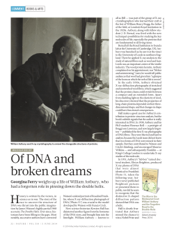 Of DNA and broken dreams