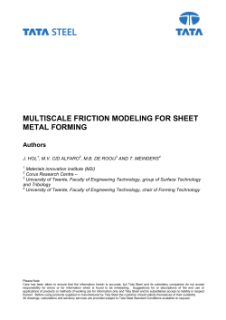 multiscale friction modeling for sheet metal forming