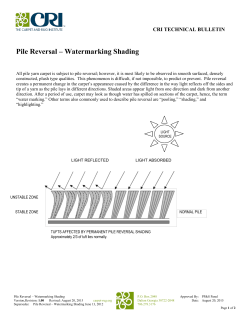 Pile Reversal &ndash; Watermarking Shading