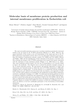 Molecular basis of membrane protein production and internal