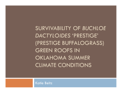 Survivability of Prestige Buffalograss Green Roofs in