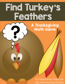Find Turkey`s Feathers