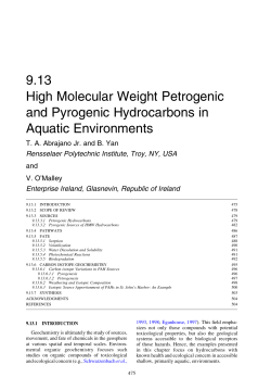 High Molecular Weight Petrogenic and Pyrogenic Hydrocarbons in