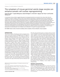 The cytoplasm of mouse germinal vesicle stage