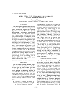 body form and swimming performance in the sgombroid fishes