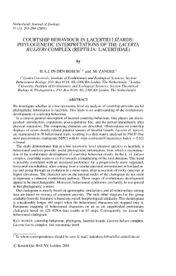 COURTSHIP BEHAVIOUR IN LACERTID LIZARDS