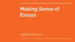 Making Sense of Essays