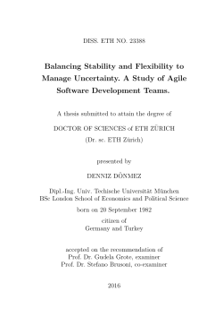 Balancing Stability and Flexibility to Manage - ETH E