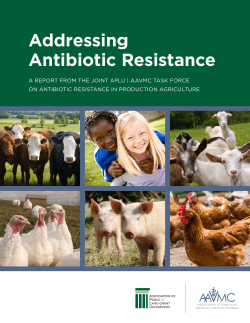 Addressing Antibiotic Resistance