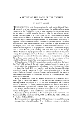 A REVIEW OF THE RACES OF THE TRAILL`S FLYCATCHER