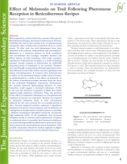 Effect of Melatonin on Trail Following Pheromone Reception in